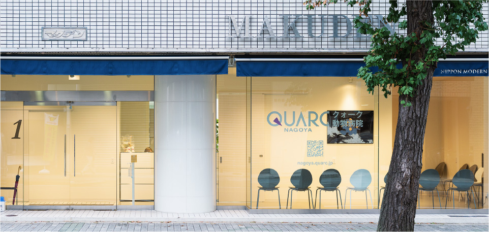 クォーク動物病院　名古屋院