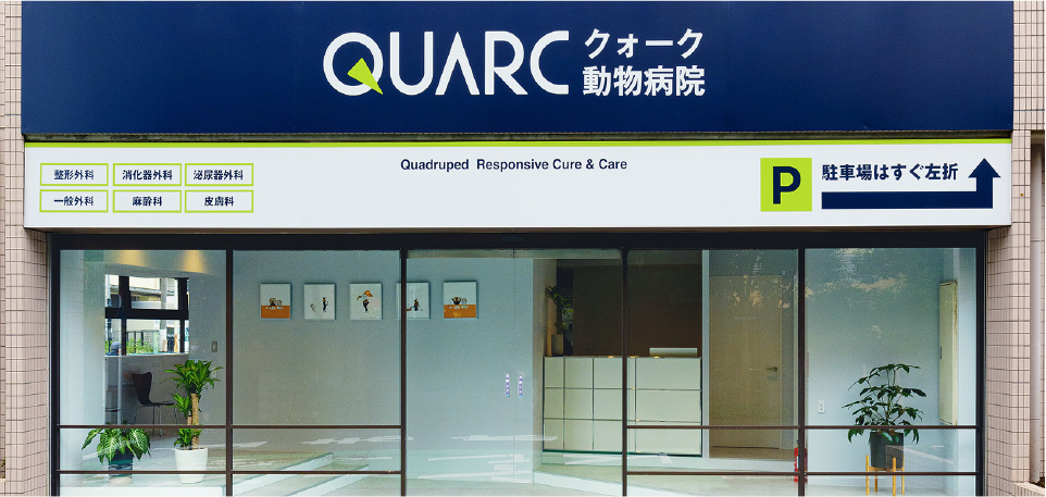 クォーク動物病院　東京院