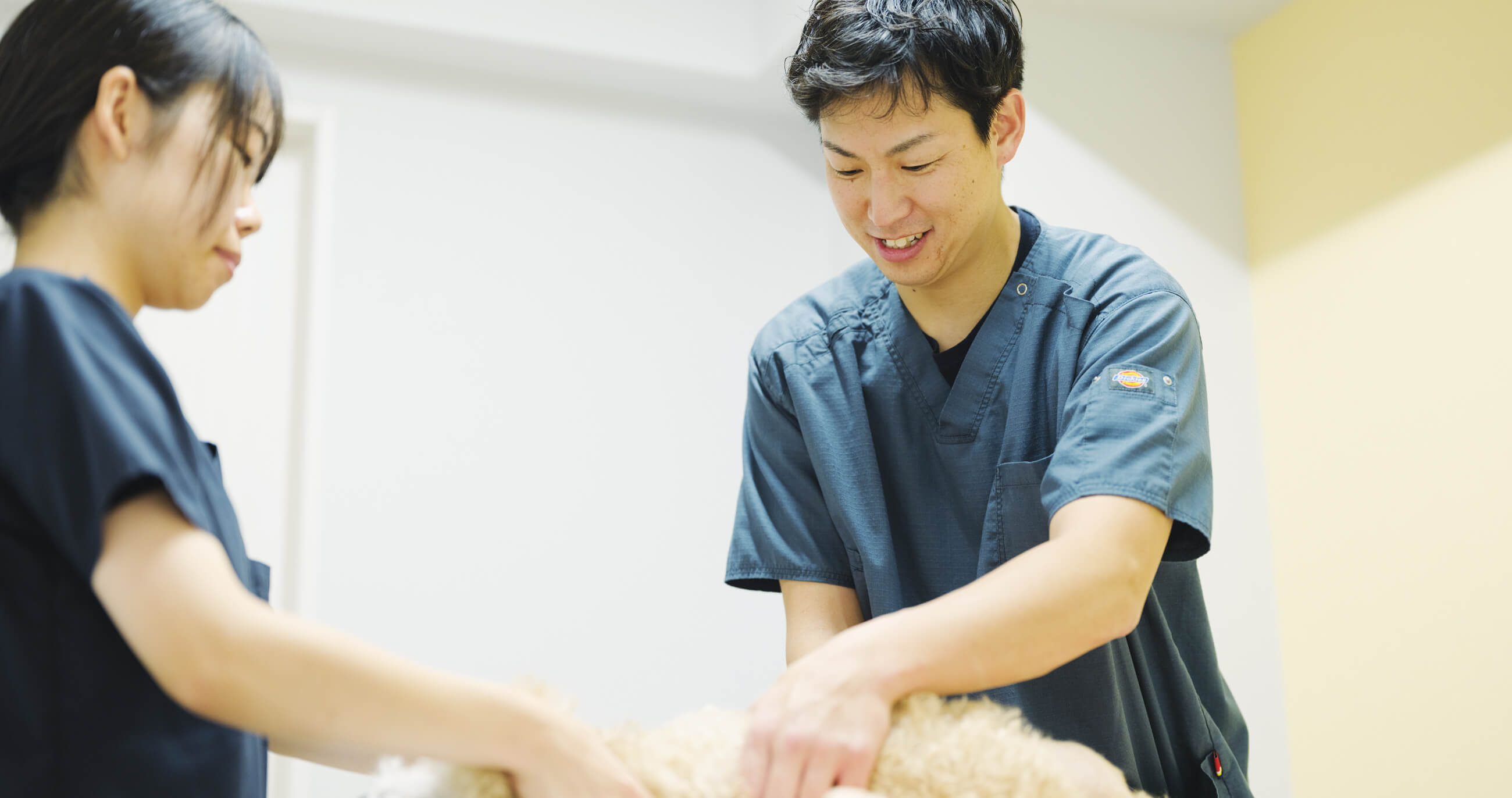 クォーク動物病院 採用サイト｜QUARC RECRUIT SITE