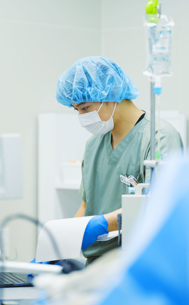 クォーク動物病院 採用サイト｜QUARC RECRUIT SITE