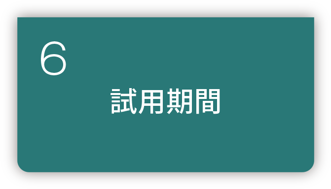6 試用期間