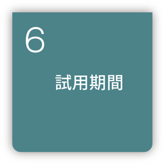 6 試用期間